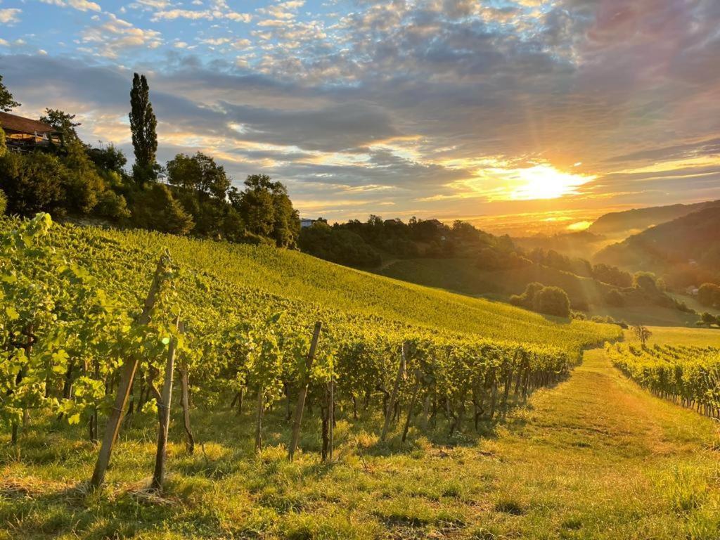 Am Grassnitzberg 18a Hébergement de vacances *